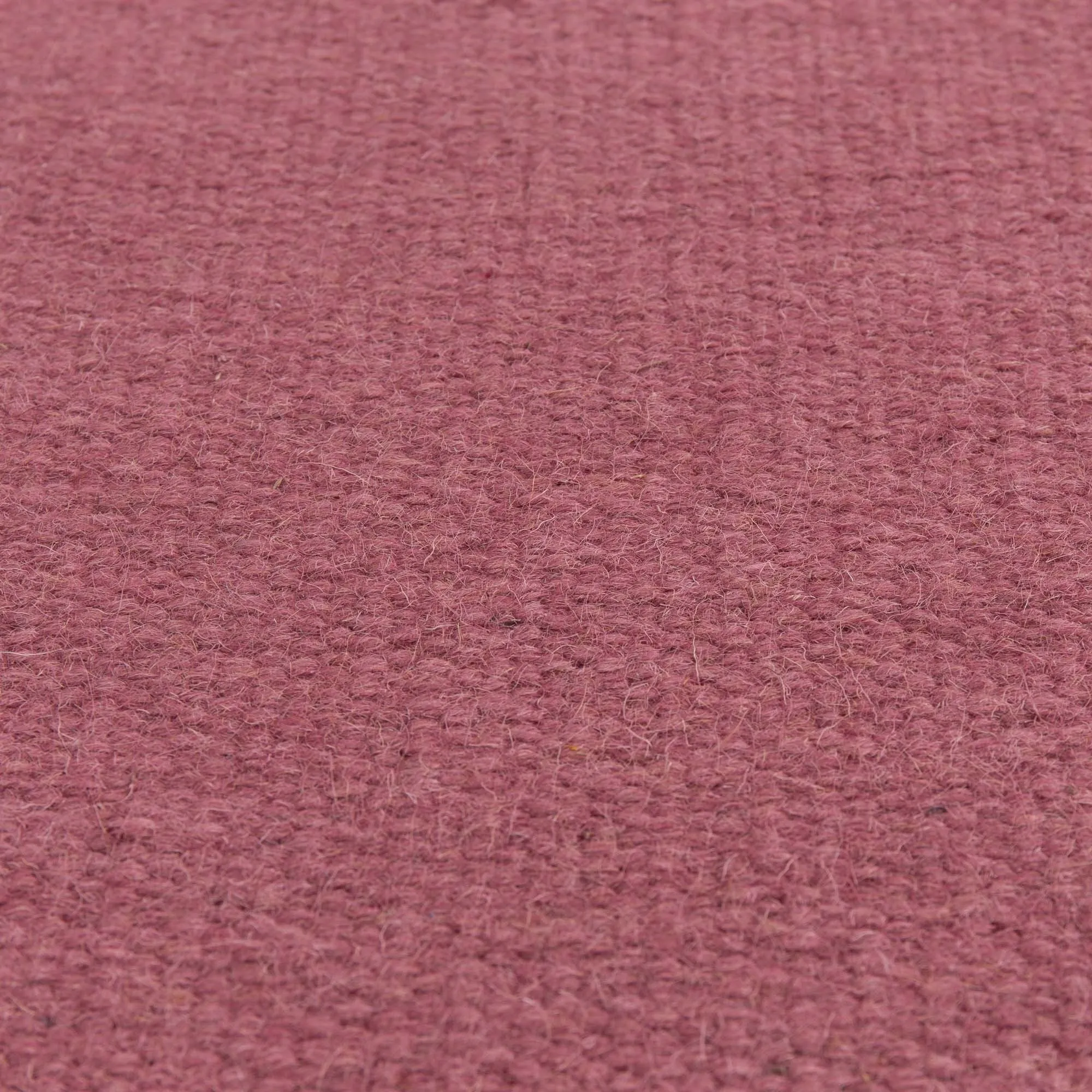 Manu Runner [Raspberry]