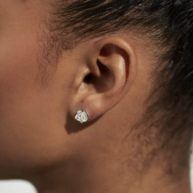 Radiant Treasures Gems Studs Silver Earrings 5839